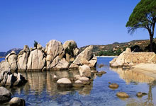 [CBA]孙浩钦送出妙传 李慕豪跟进双手扣.